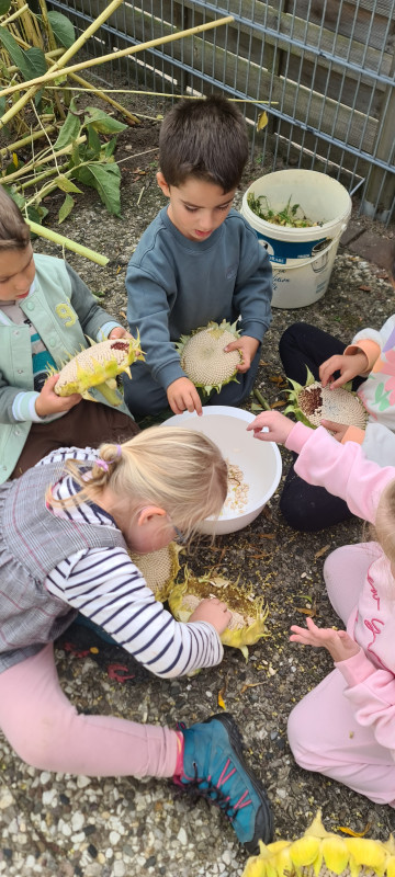 Und wieder Kinderarbeit